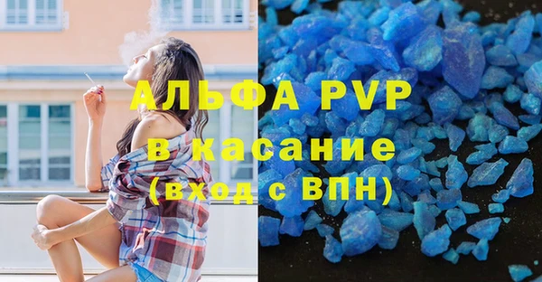 индика Волосово