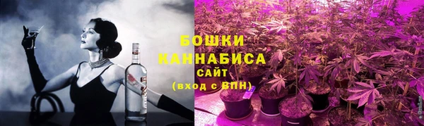 индика Волосово